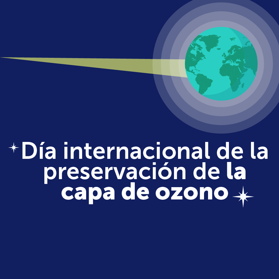 ¡Todos debemos de unirnos para proteger el medio ambiente!